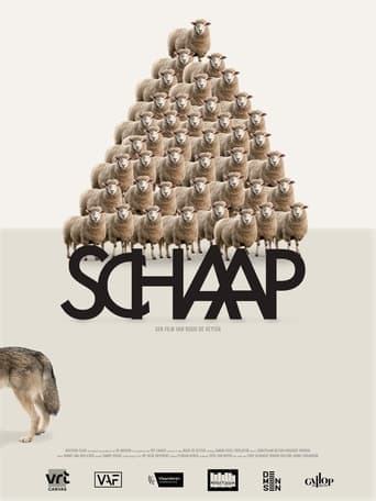 Sheep Poster