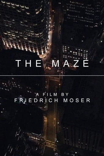 The Maze Poster