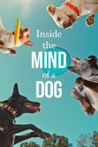 Inside the Mind of a Dog Poster