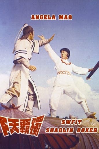 Swift Shaolin Boxer Poster