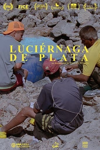 Luciérnaga de Plata Poster