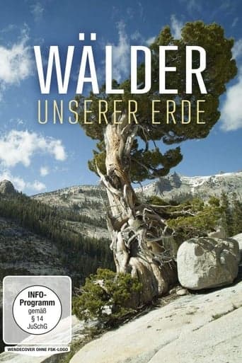 Wälder unserer Erde Poster