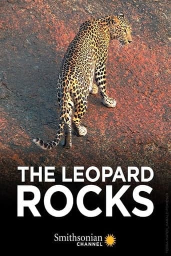 The Leopard Rocks Poster