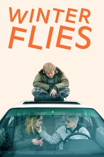 Winter Flies Poster