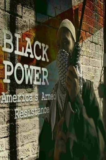 Black Power: America's Armed Resistance Poster