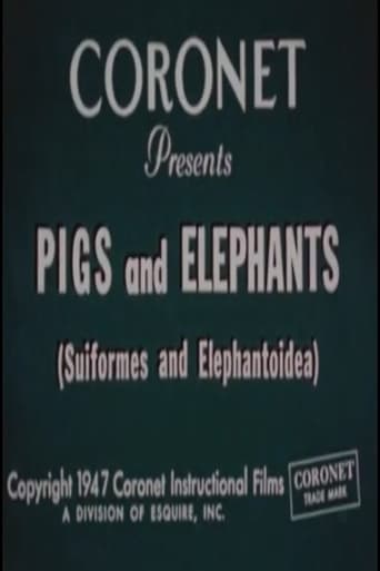 Pigs and Elephants (Suiformes and Elephantoidea) Poster