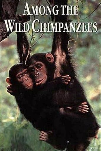 Among the Wild Chimpanzees Poster