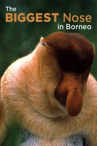 The Biggest Nose in Borneo Poster