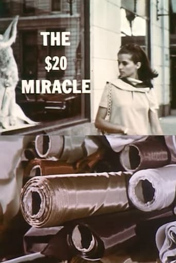 The Twenty Dollar Miracle Poster