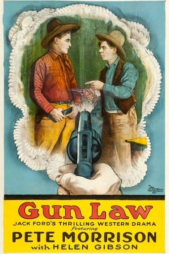 Gun Law Poster