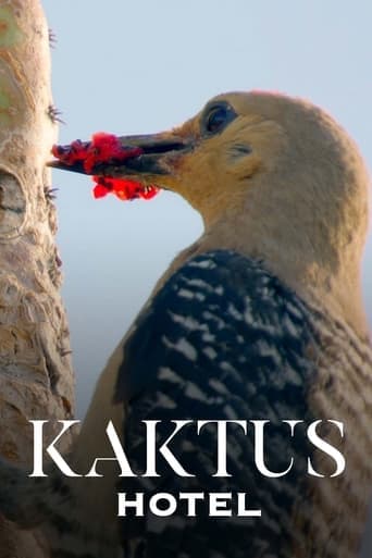 Kaktus Hotel Poster