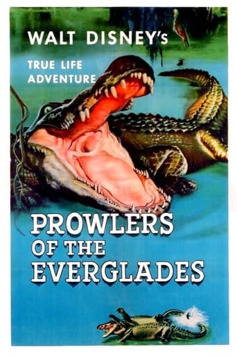 Prowlers of the Everglades Poster