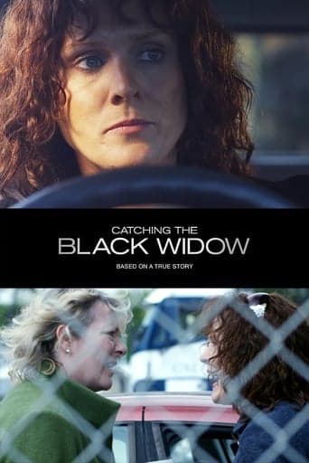 Catching the Black Widow Poster