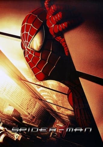 Spider-Man: The Mythology of the 21st Century Poster