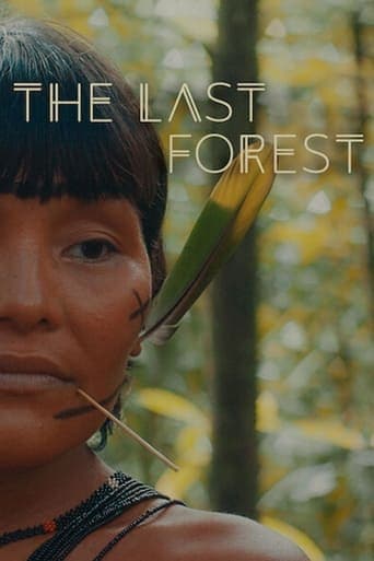 The Last Forest Poster