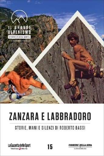 Zanzara e Labbradoro - Storie Mani e Silenzi di Roberto Bassi Poster