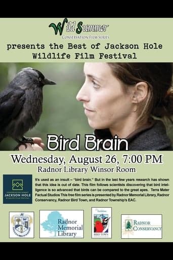 Bird Brain Poster