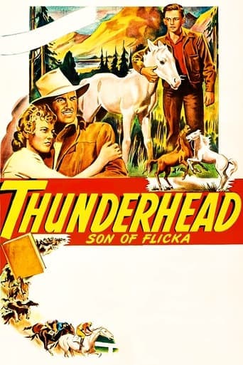 Thunderhead: Son of Flicka Poster