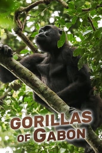 Gorillas of Gabon Poster