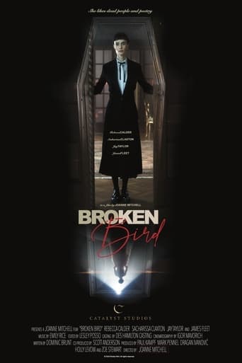 Broken Bird Poster