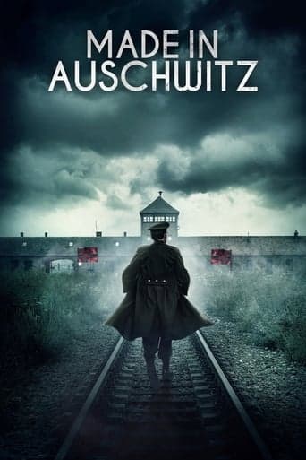 Made in Auschwitz: The Untold Story of Block 10 Poster