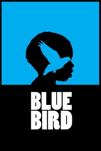 Blue Bird Poster