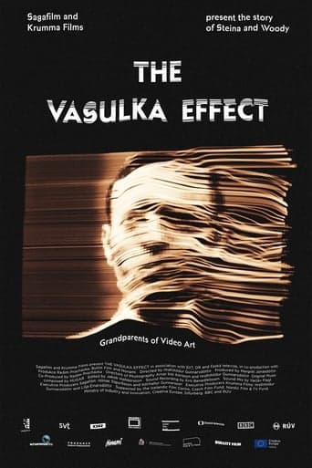 The Vasulka Effect Poster