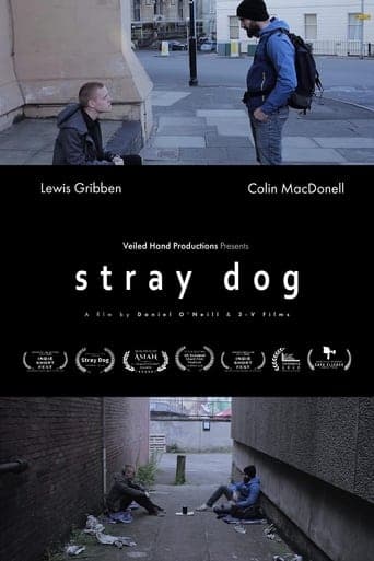 Stray Dog Poster