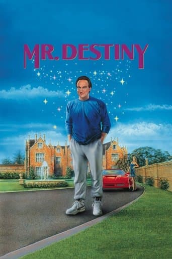 Mr. Destiny Poster