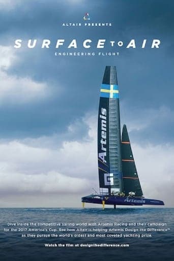 Surface to Air Poster