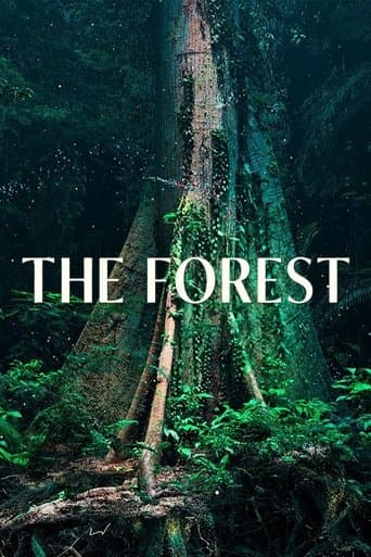 The Forest Poster