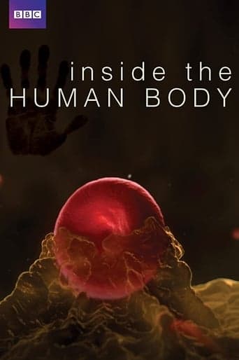 Inside the Human Body Poster